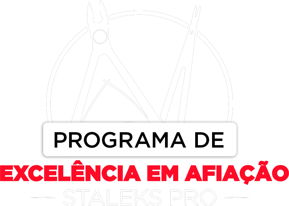 Logo Staleks